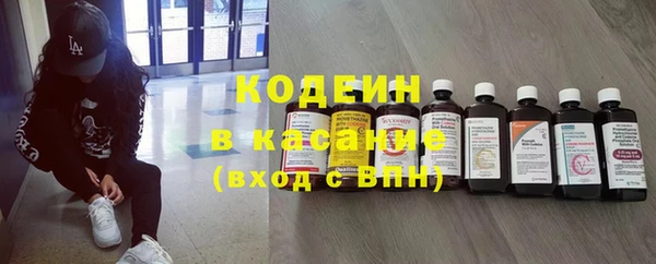 крисы Богородицк