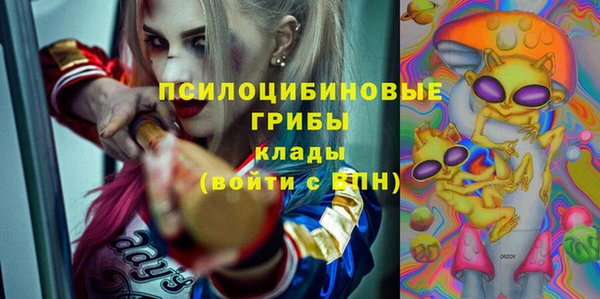 тгк Богданович