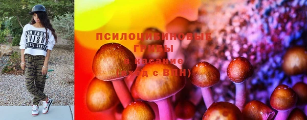 крисы Богородицк
