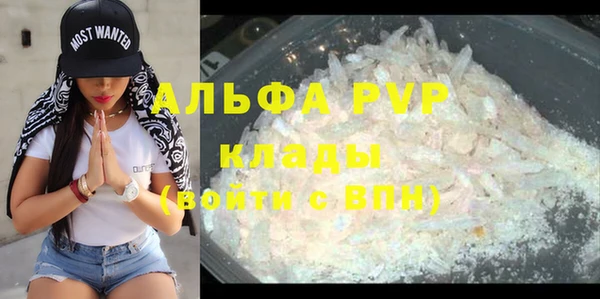 крисы Богородицк