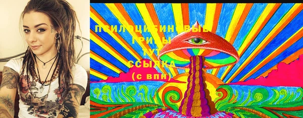 тгк Богданович