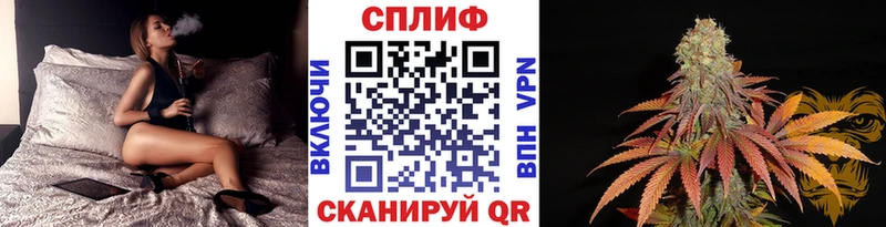 Бошки марихуана OG Kush  Козловка 